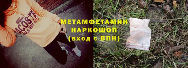 крисы Ростов