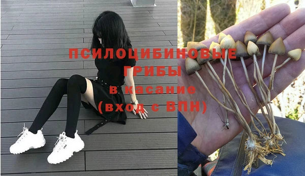 дурь Россошь