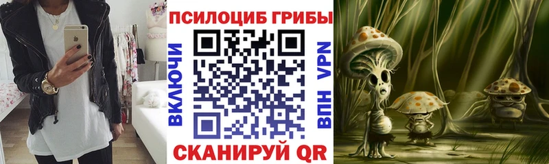 Галлюциногенные грибы мицелий  Купить  Советская Гавань 